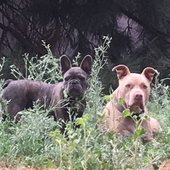 Meet your Posher, Melissa - Picture 1 of 1